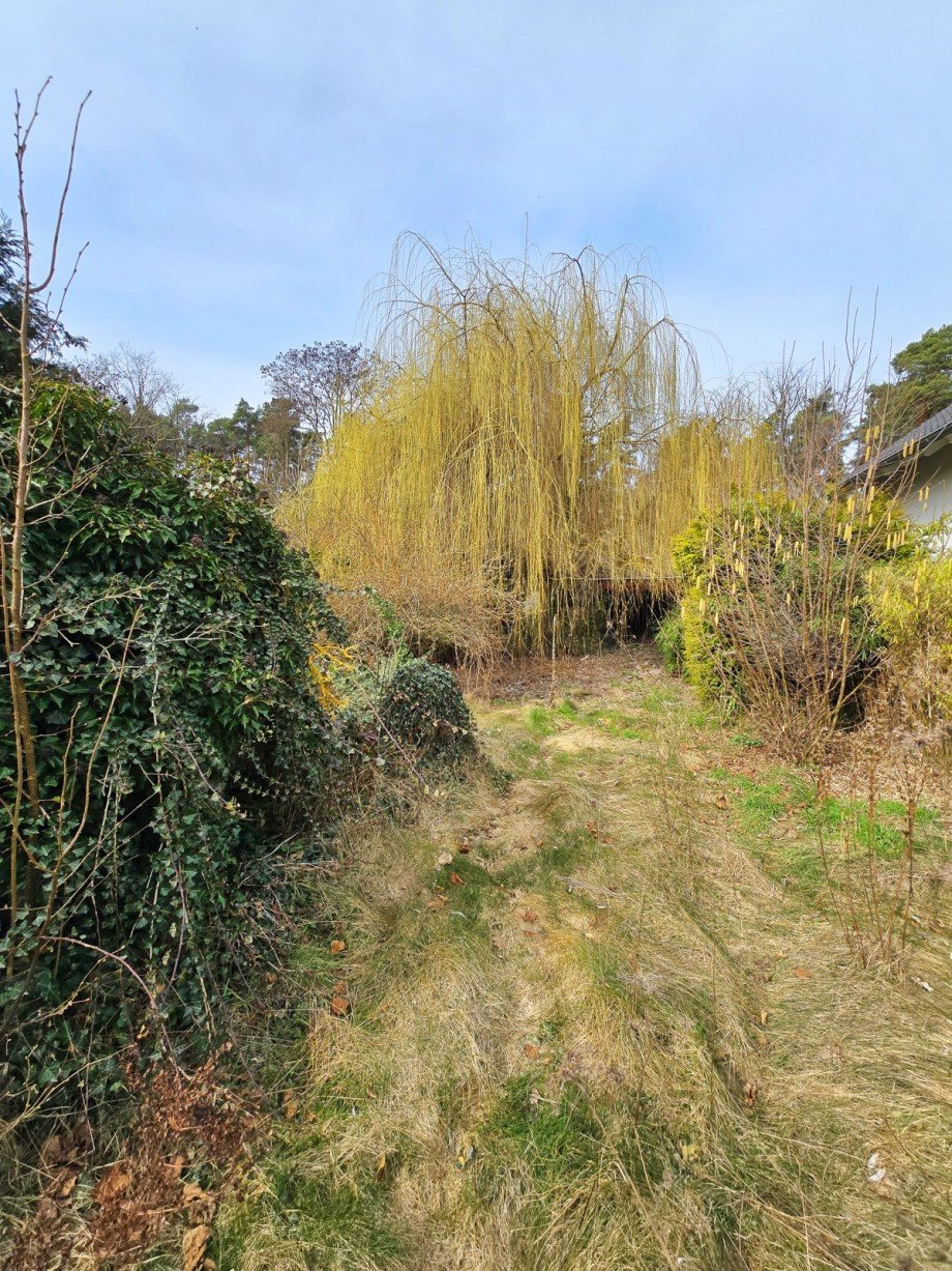 Ansicht Front Grundst�ck Dessau-Ro�lau