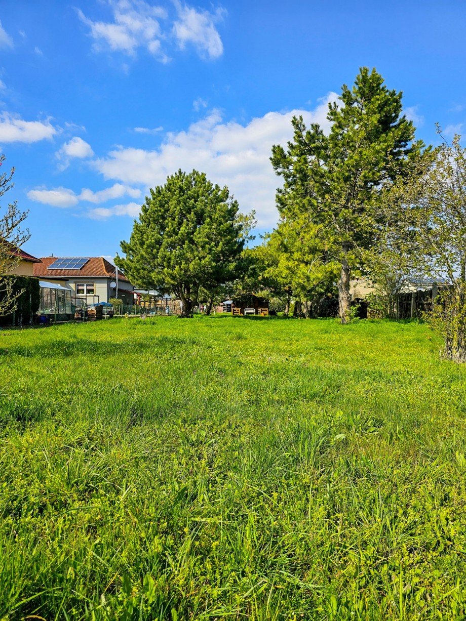 Garten 3 Einfamilienhaus Osternienburger Land