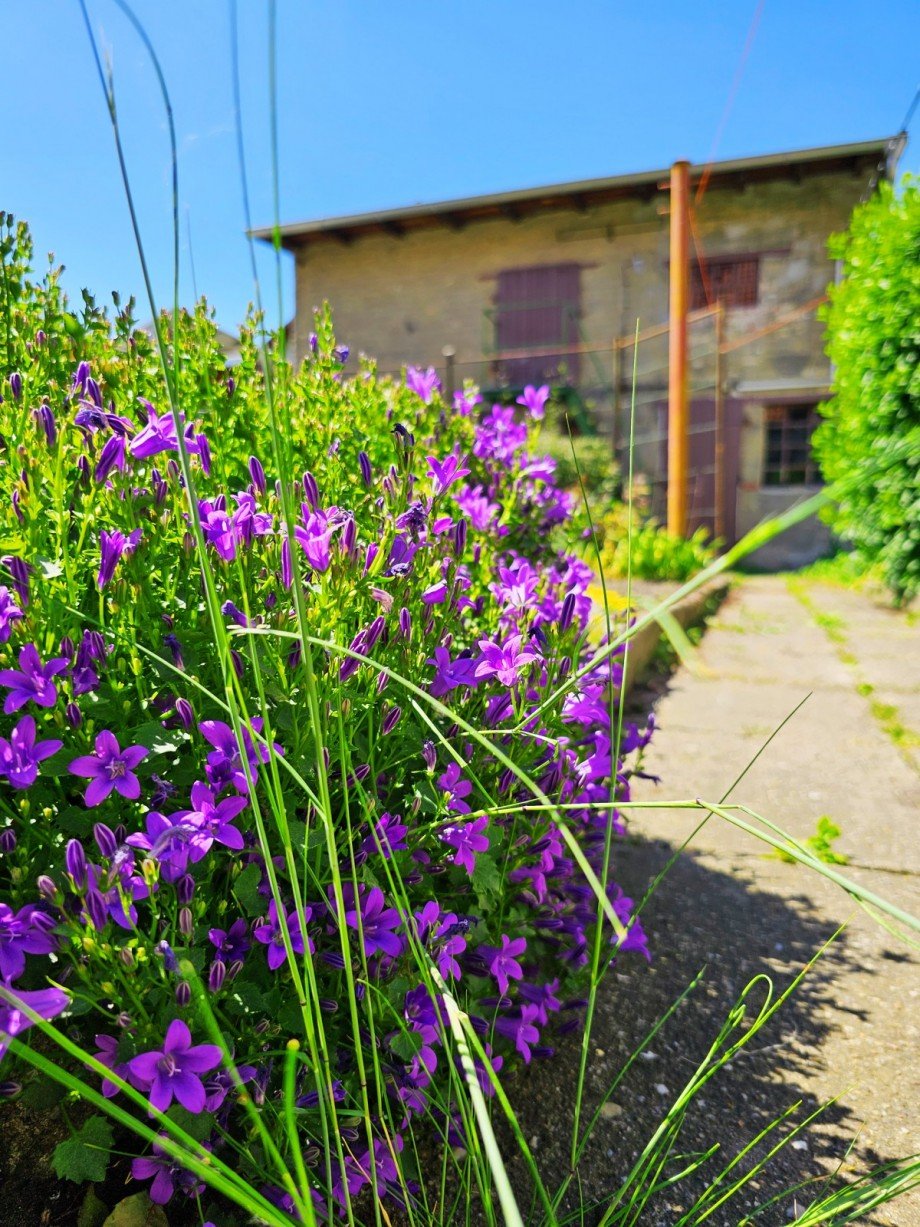 Garten Detail Doppelhaush�lfte K�then (Anhalt)