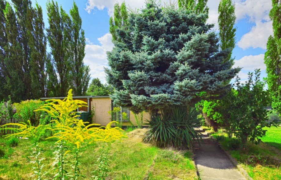 Garten Reihenhaus K�then (Anhalt)