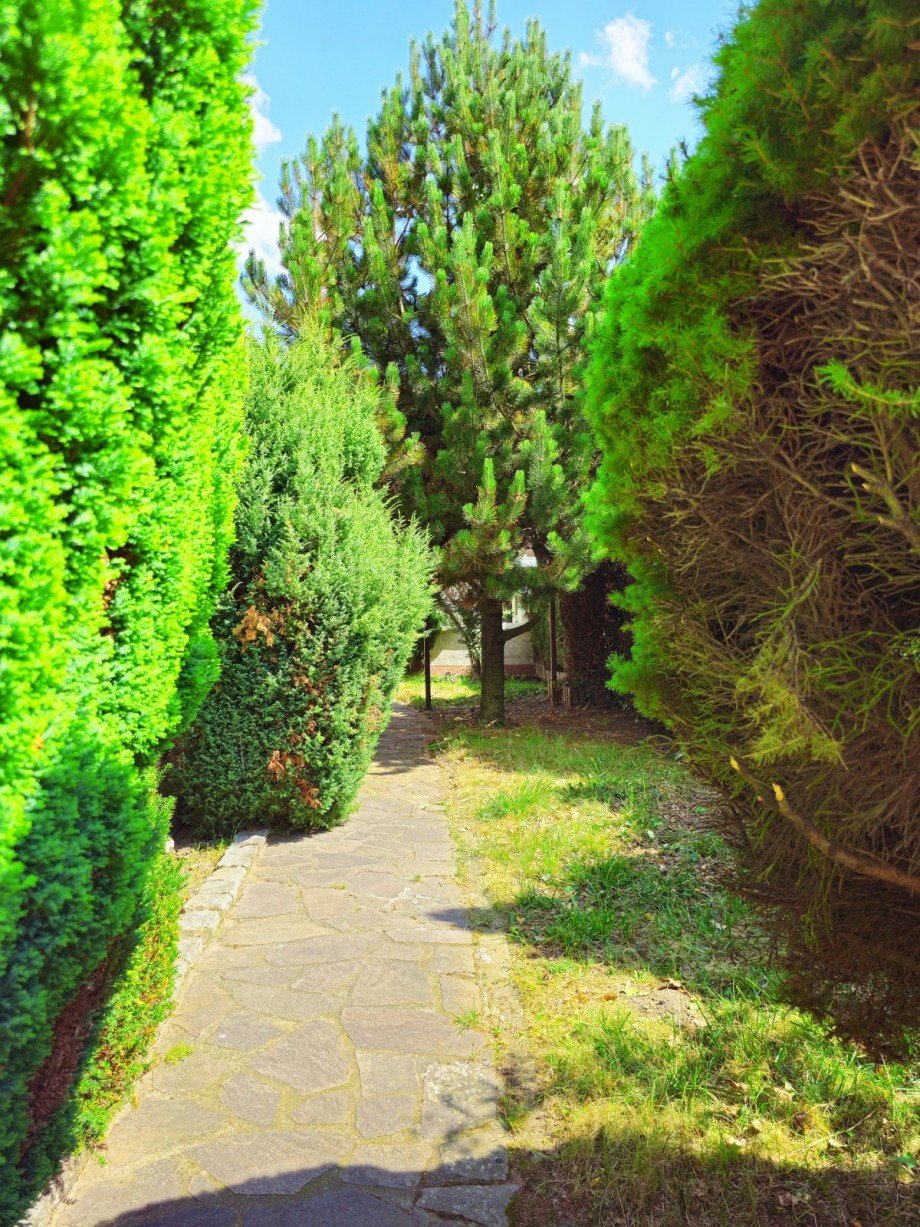 Garten Reihenhaus K�then (Anhalt)