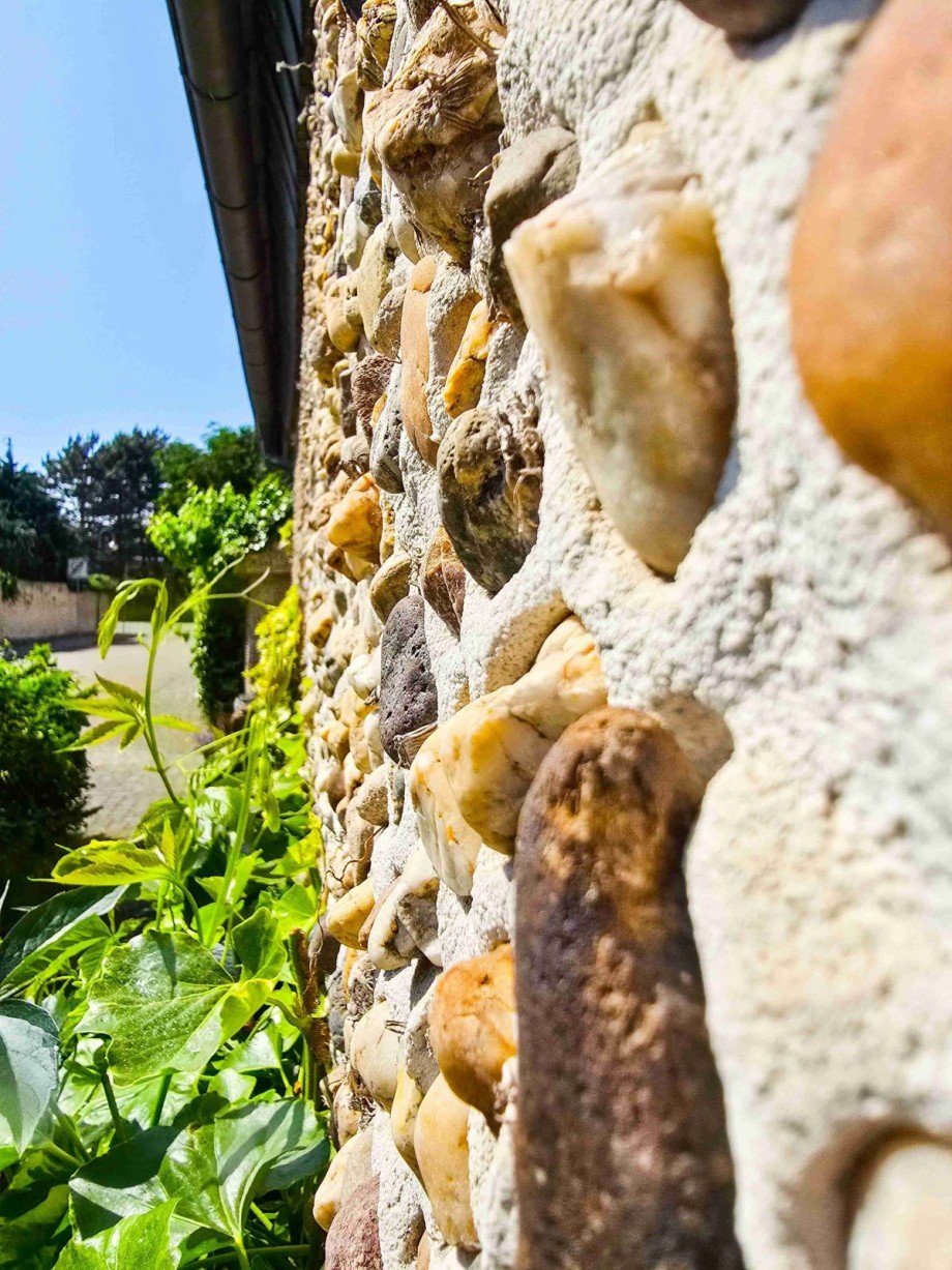 Detail Einfamilienhaus Nienburg (Saale)