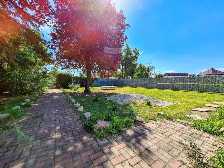 Garten_vorn K�then (Anhalt) - K�then Einfamilienhaus Freistehender Bungalow mit gro�z�gigem Garten