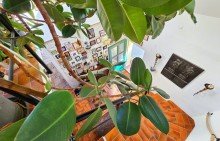 Treppe ins EG  Verde Ziethe  - nachhaltig, charmant, einzigartig