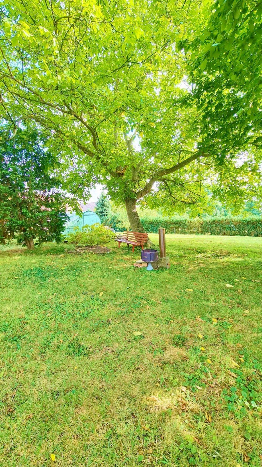 Garten Zweifamilienhaus G�rzig