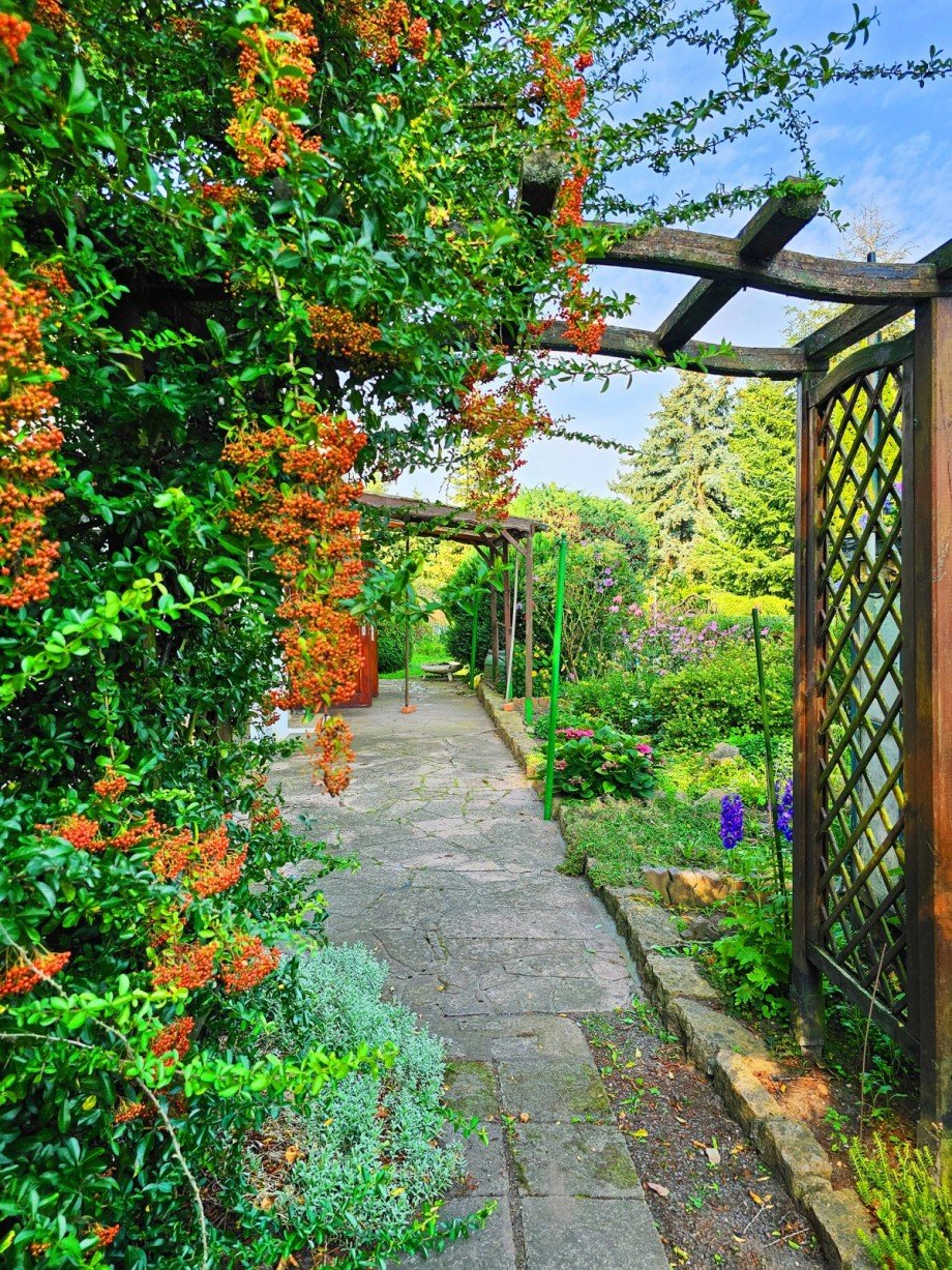 Garten Reihenendhaus Aken