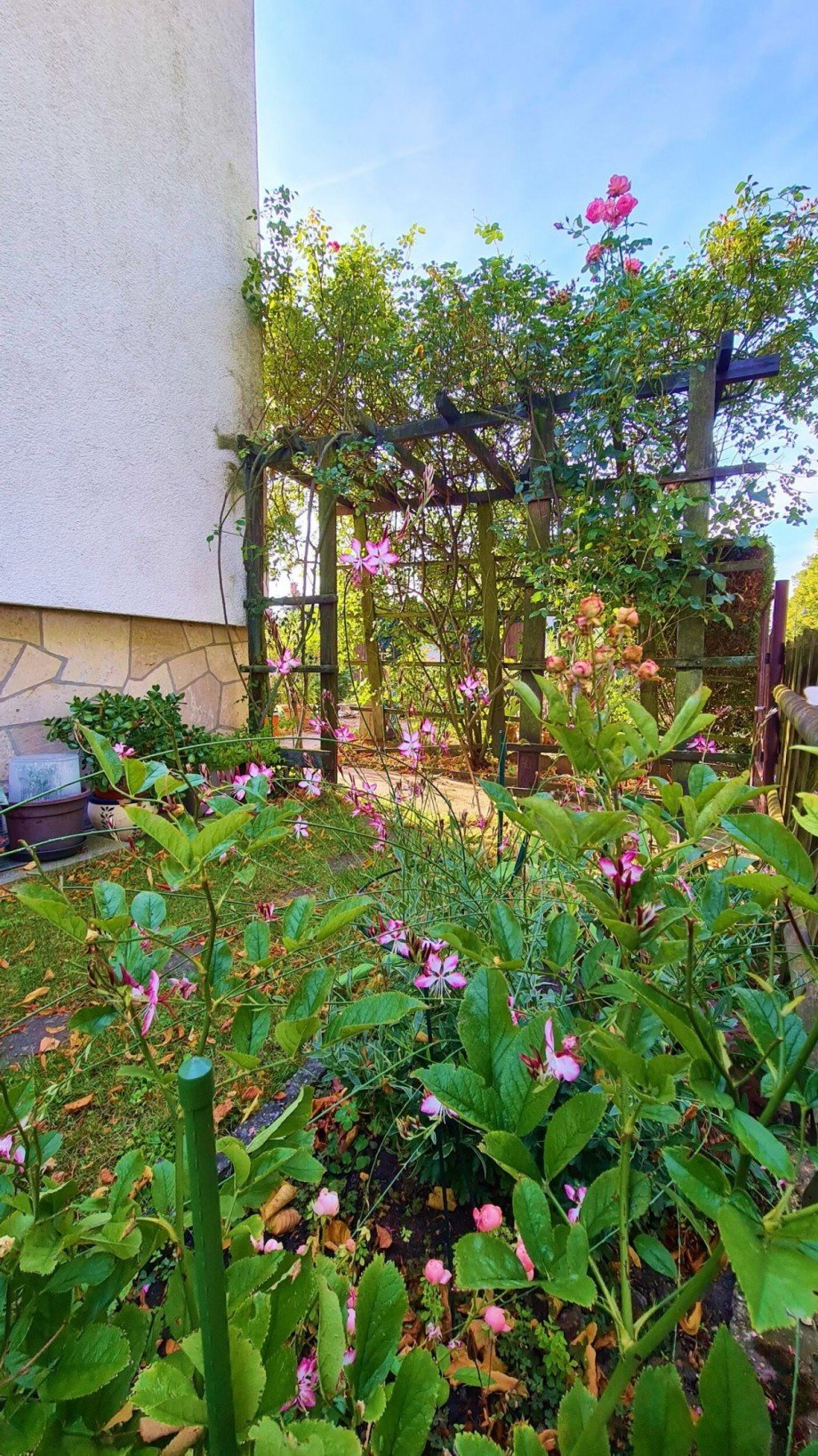 Seitenansicht Einfamilienhaus K�then (Anhalt)