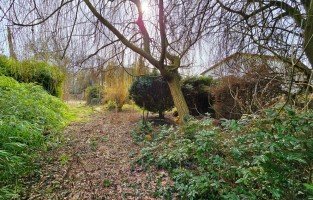 Hauptbild Traumhaftes Grundst�ck am Naturbad - Gestalten Sie Ihre Zukunft in Dessau-Mosigkau