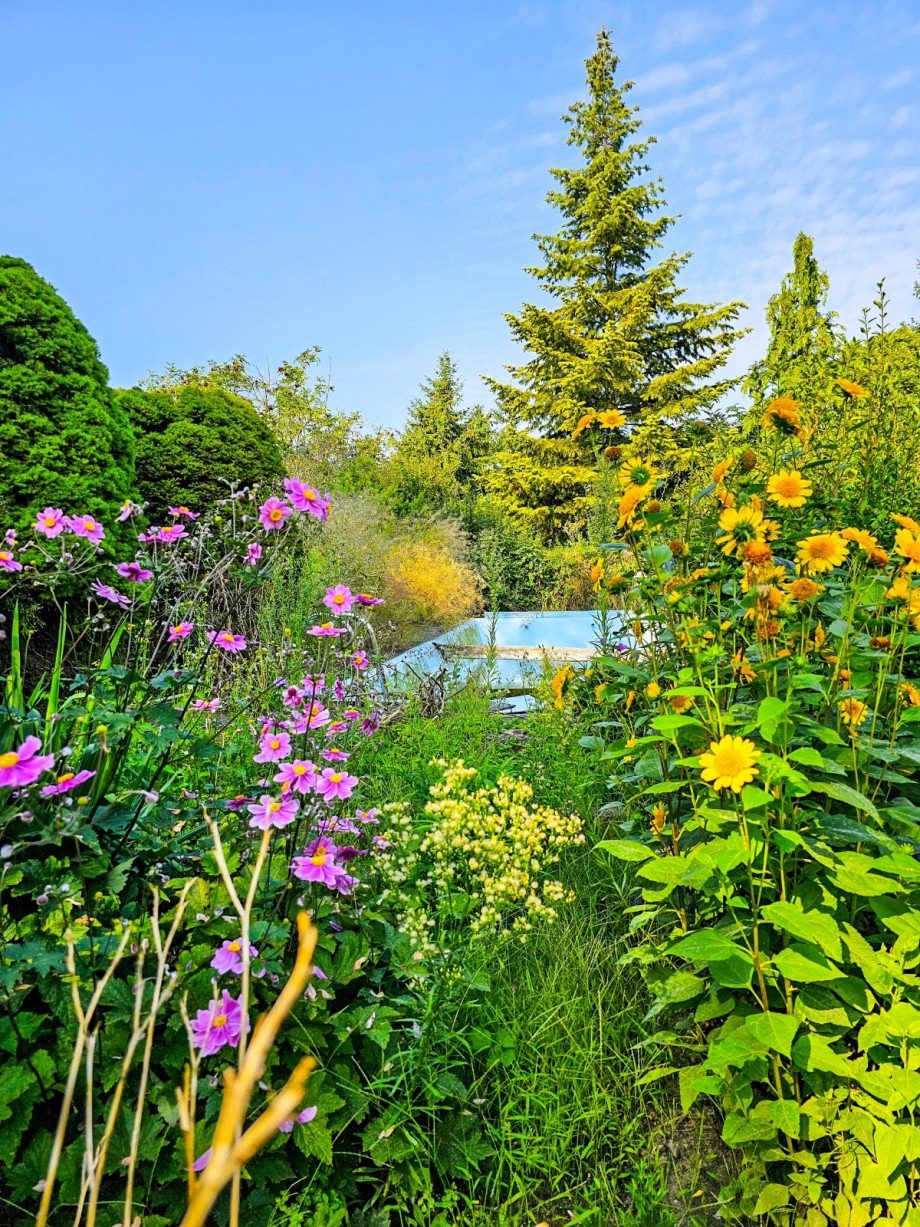Garten Reihenendhaus Aken