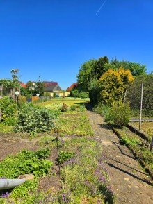 Garten  Garten Gr�n  - Hier wachsen nicht nur Blumen, sondern Wohntr�ume