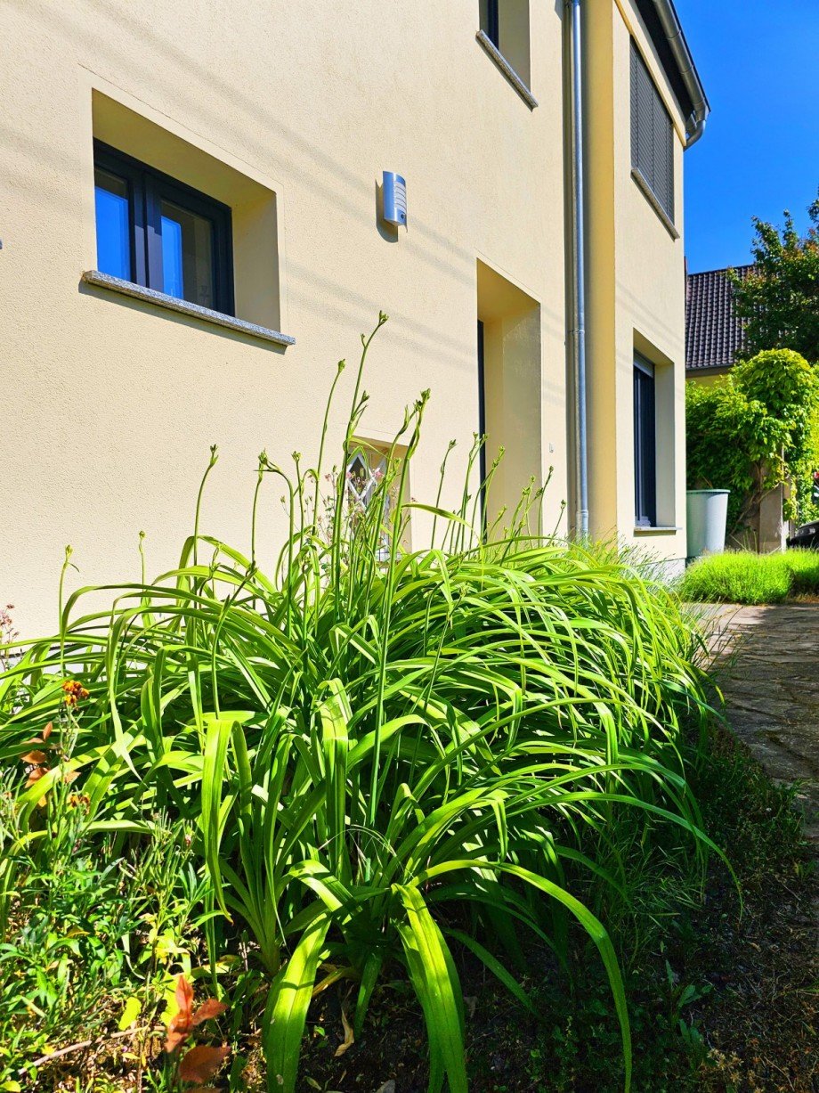 Eingangsbereich Einfamilienhaus K�then (Anhalt)