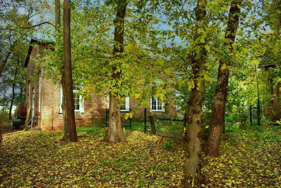 Wald Haus Osternienburger Land OT Trebbichau