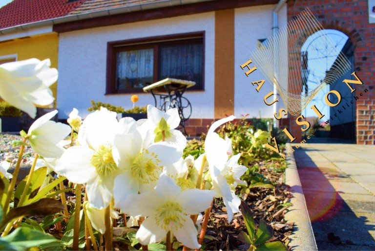 Haus Vision K�then (Anhalt) Einfamilienhaus Haus Vision - Tr�ume verwirklichen!