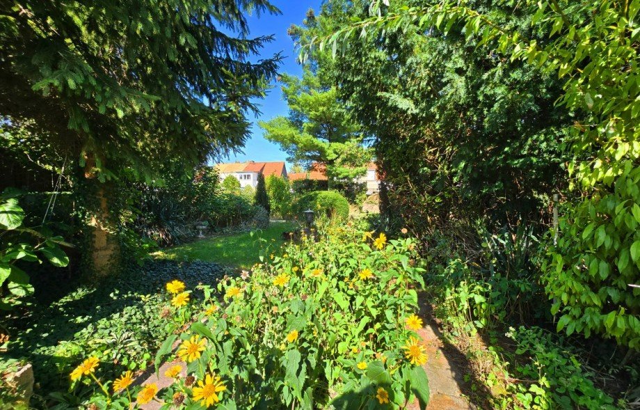 Garten Doppelhaush�lfte K�then (Anhalt)