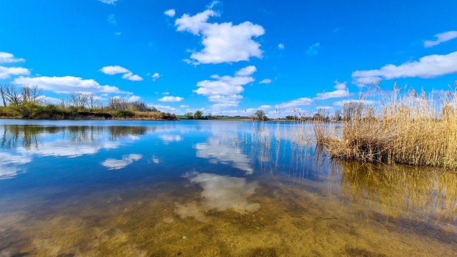 Wasser Ferienhaus Osternienburger Land