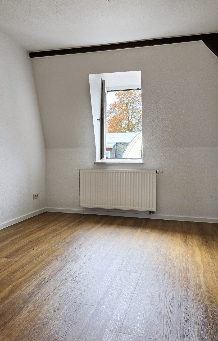 Zimmer Dachgeschosswohnung K�then (Anhalt)