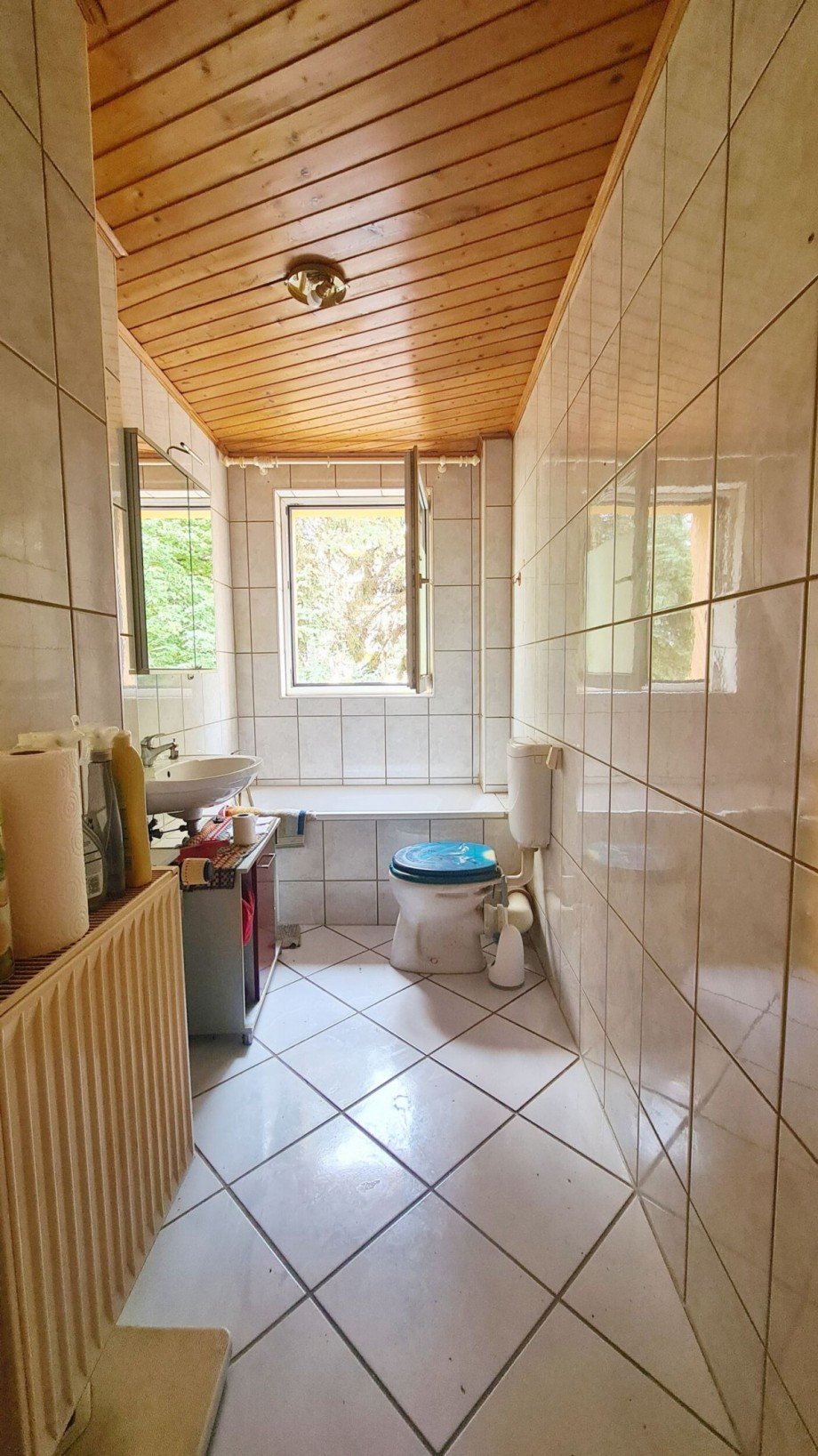 Bad Erdgeschosswohnung K�then (Anhalt)