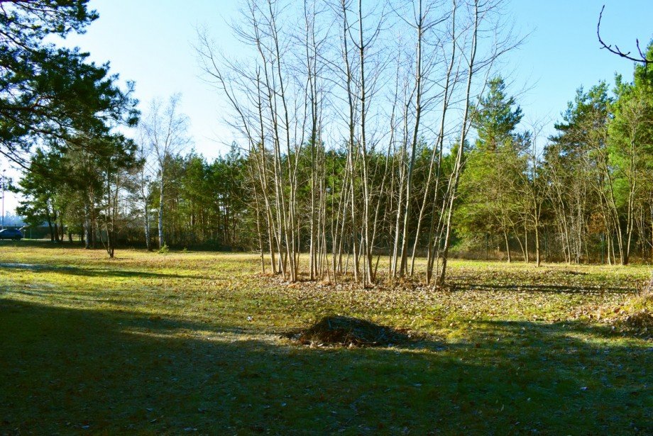 Au�engel�nde Gewerbegrundst�ck Oranienbaum-W�rlitz