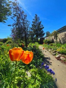 Garten Land Poesie - Zwischen Gemeinschaft, Garten und neuen Ideen