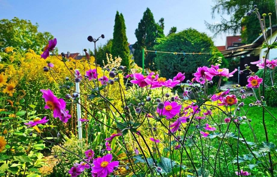 Garten Reihenendhaus Aken