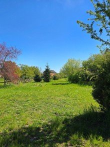 Grundst�ck Land Poesie - Zwischen Gemeinschaft, Garten und neuen Ideen