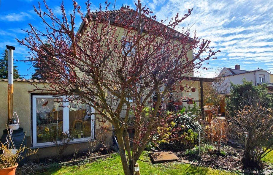Garten Einfamilienhaus Aken