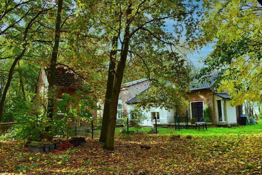 Blick auf Terrasse Haus Osternienburger Land OT Trebbichau