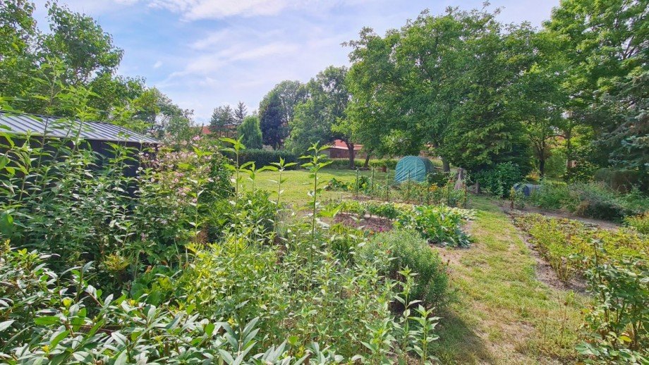 Garten Zweifamilienhaus G�rzig