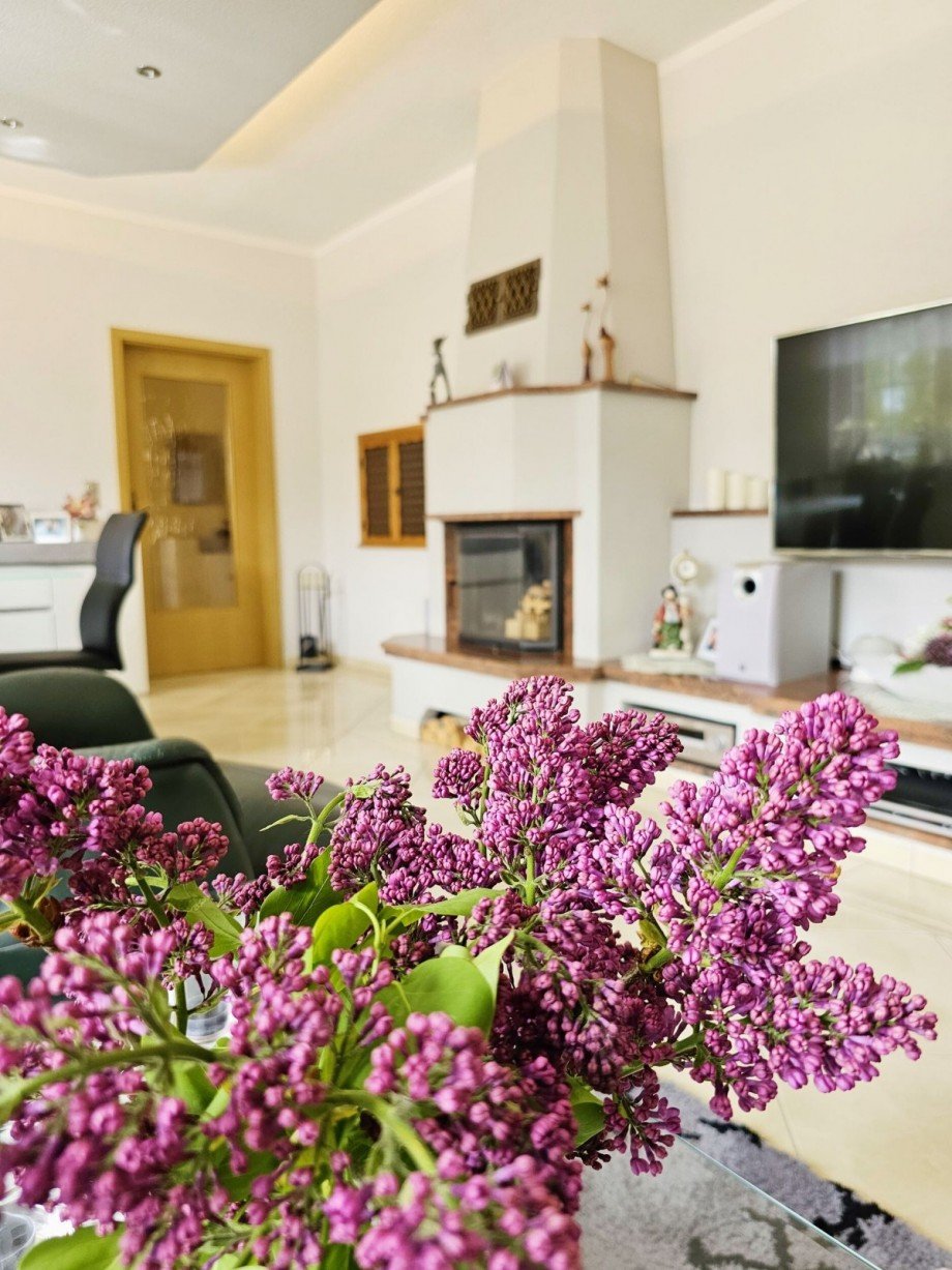 Wohnzimmer_Kamin Doppelhaush�lfte Ilberstedt
