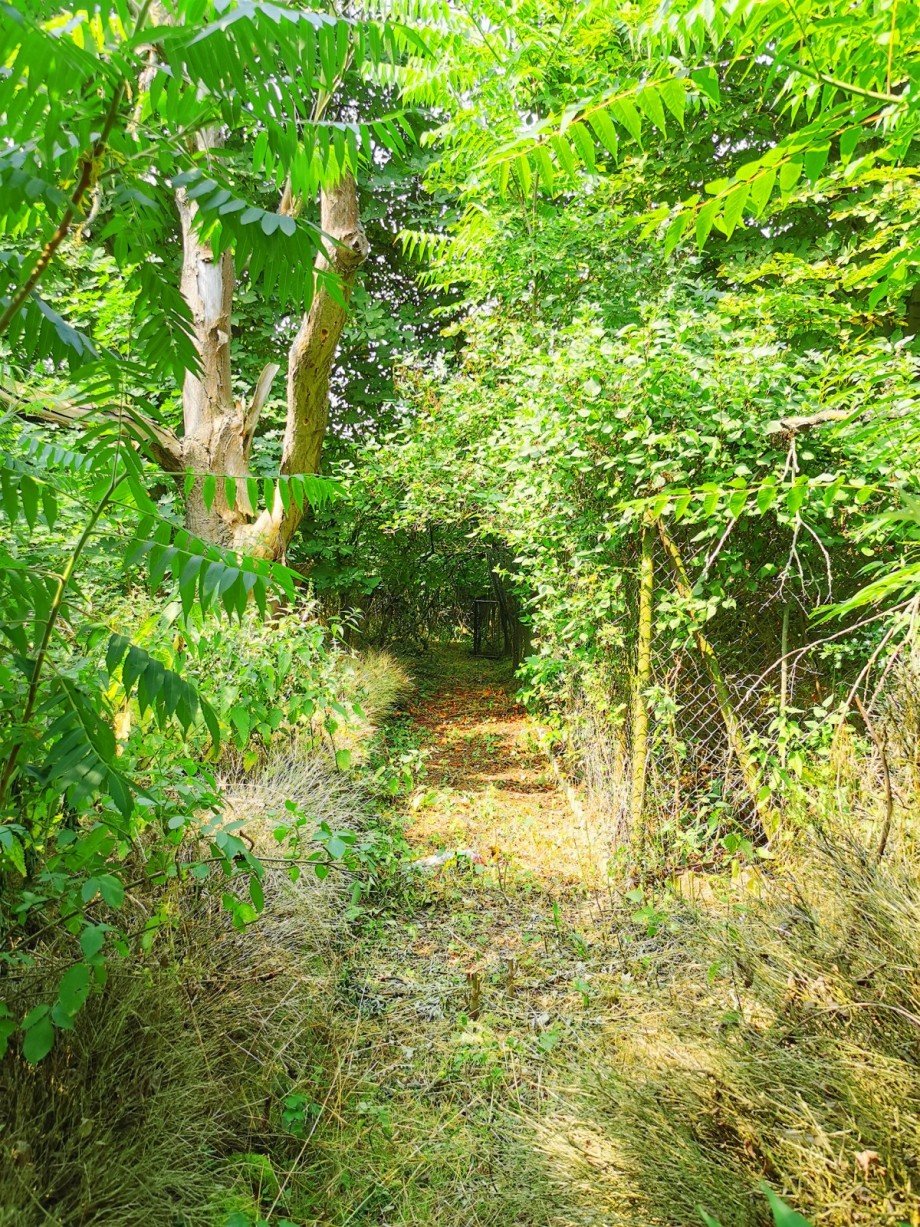 Weg Haus K�then (Anhalt)