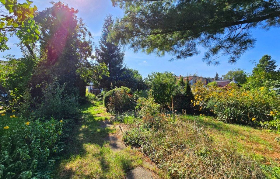Garten Doppelhaush�lfte K�then (Anhalt)