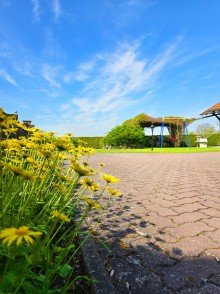 Hof und Garten  Gro�es Gelbes Gl�ck  - Mehr Raum, mehr M�glichkeiten, mehr Gl�ck f�r Ihre Familie