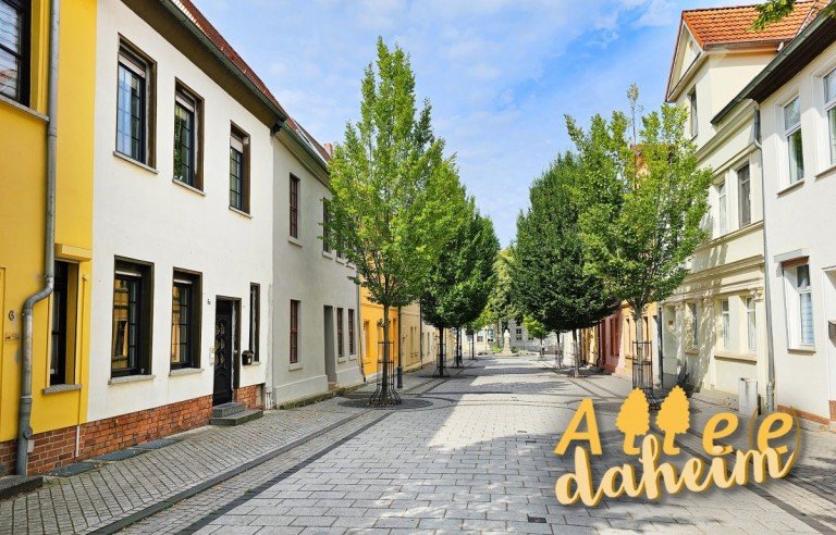 Hauslogo K�then (Anhalt) Reihenhaus Schickes Stadtdomizil auf drei Etagen