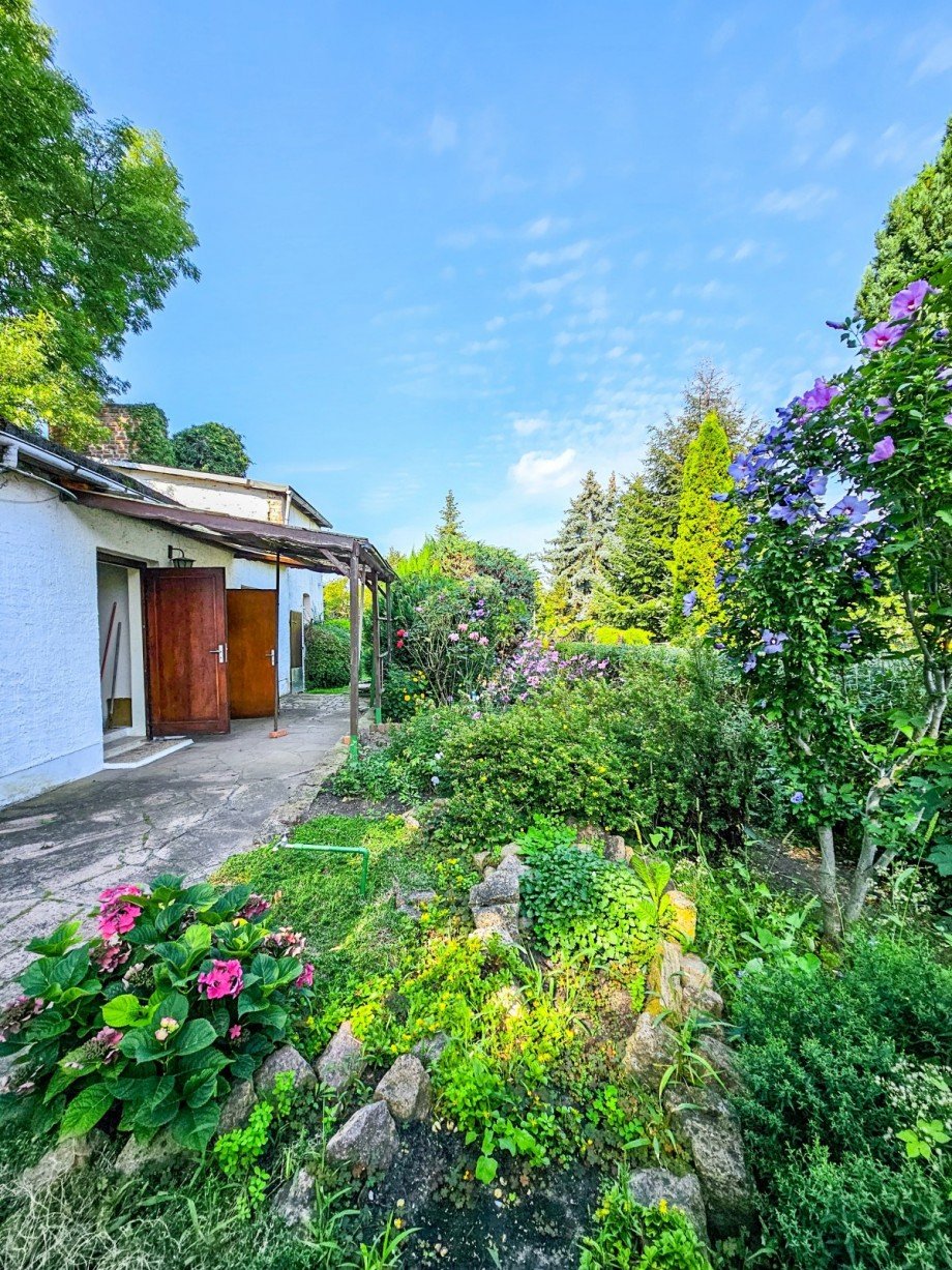 Garten Reihenendhaus Aken