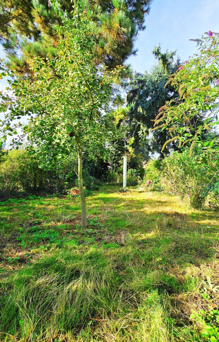 Garten Reihenhaus K�then (Anhalt)