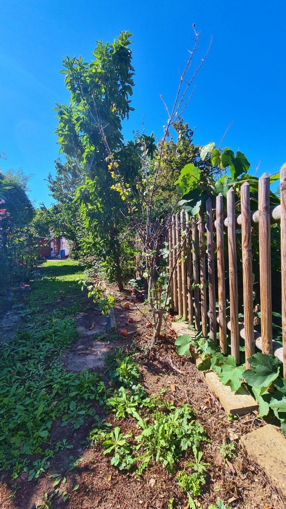 Garten Einfamilienhaus Dessau-Ro�lau