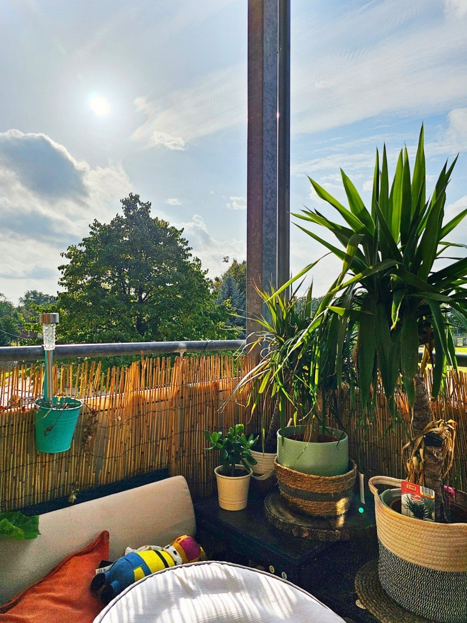 Balkon Etagenwohnung Zerbst/Anhalt