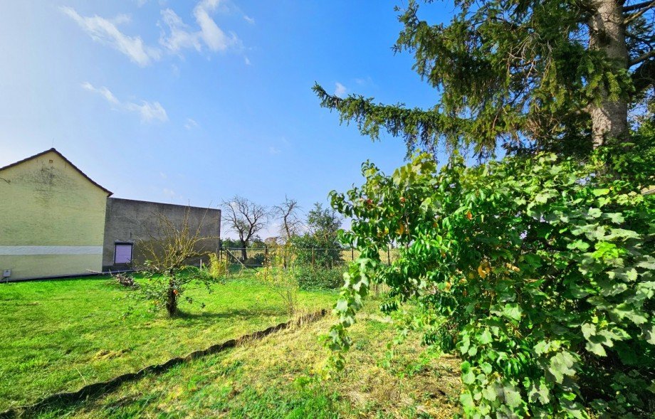 Garten Einfamilienhaus Z�rbig