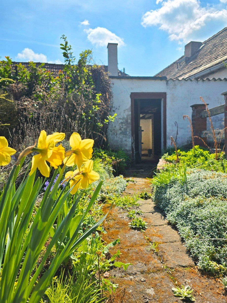 Garten Einfamilienhaus Gr�bzig