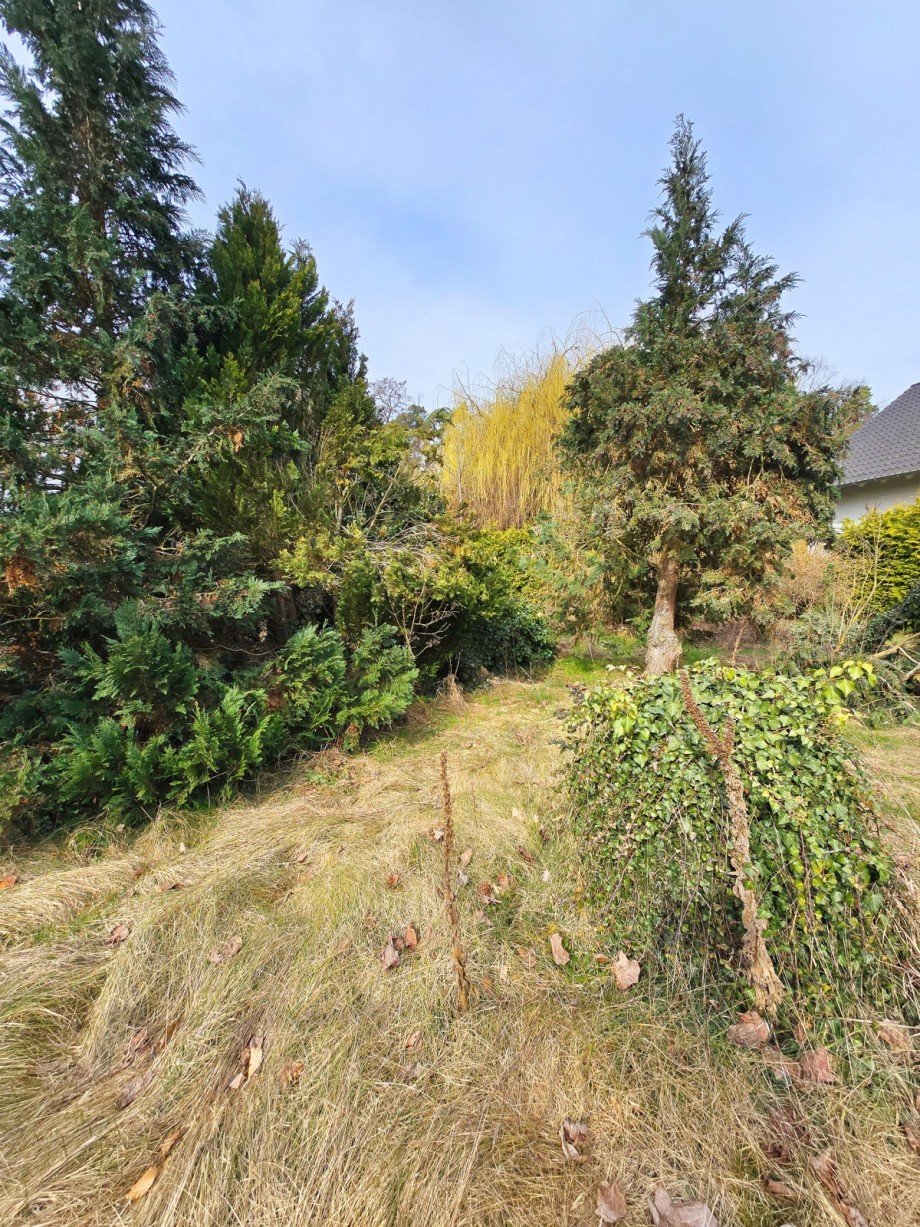 Vordere Grundst�ck Grundst�ck Dessau-Ro�lau