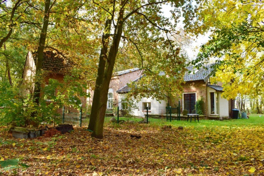 Hausansicht Haus Osternienburger Land OT Trebbichau