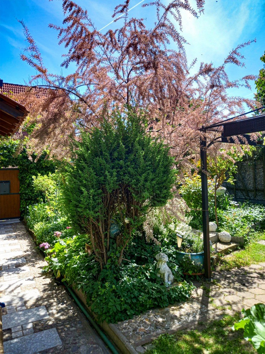 Garten Einfamilienhaus Nienburg (Saale)