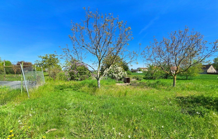 Grundst�ck Einfamilienhaus Osternienburger Land